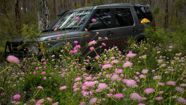 Spring Wildflower Tour - 10% Off